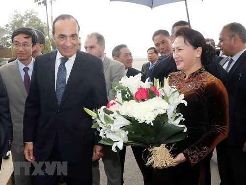 Maroc: entretien Nguyên Thi Kim Ngân-Habib El Malki - ảnh 1