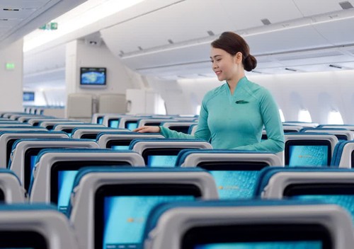 Vietnam Airlines lance l’enregistrement des services spéciaux en ligne - ảnh 1