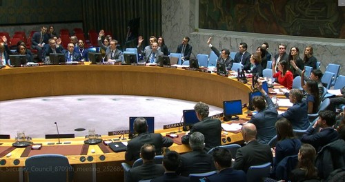 Le Conseil de sécurité des Nations Unies discute de l’Organisation pour la sécurité et la coopération en Europe  - ảnh 1