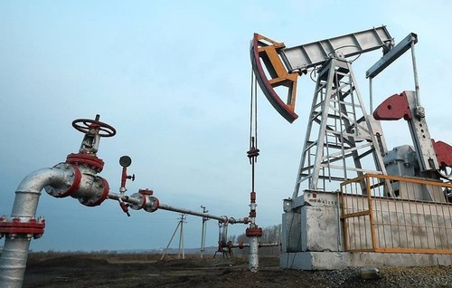 Les Etats-Unis vont aider le Mexique à réduire sa production de pétrole (président mexicain) - ảnh 1