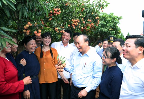 Des litchis exportés en présence du Premier ministre  - ảnh 1