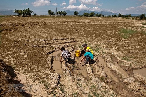 Changement climatique : la Banque mondiale soutient le Vietnam  - ảnh 1