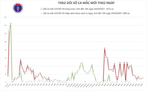 Covid-19: neuf nouveaux cas locaux - ảnh 1