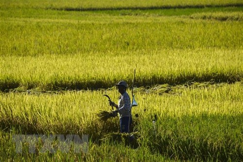 Climat : reprise de négociations “cruciales” à l'ONU, six mois avant la COP26 de Glasgow - ảnh 1