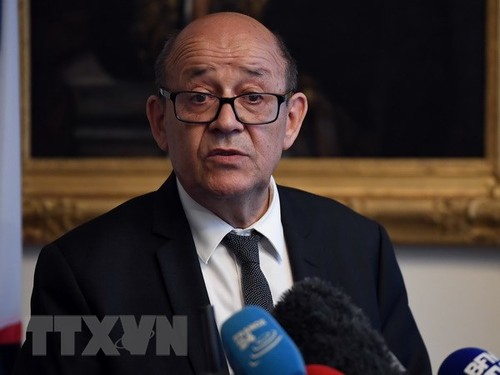 Mali: La présence française maintenue mais «pas à n’importe quel prix», précise Jean-Yves Le Drian - ảnh 1