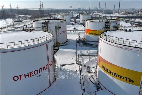 Pétrole russe: Les pays de l’UE achèvent la ratification du plafonnement du prix  - ảnh 1