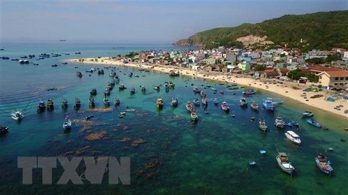 Faire du Vietnam une puissance maritime - ảnh 1