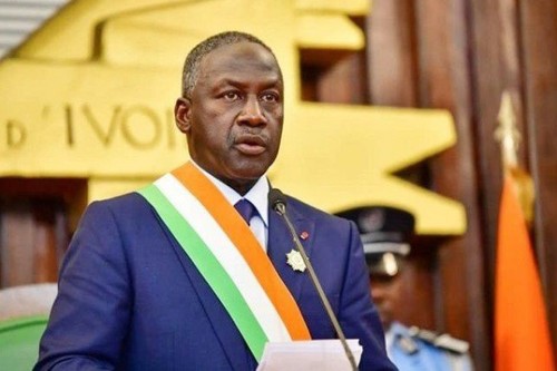 Visite du président de l'Assemblée nationale de Côte d'Ivoire au Vietnam: une nouvelle étape dans le développement des relations bilatérale - ảnh 1