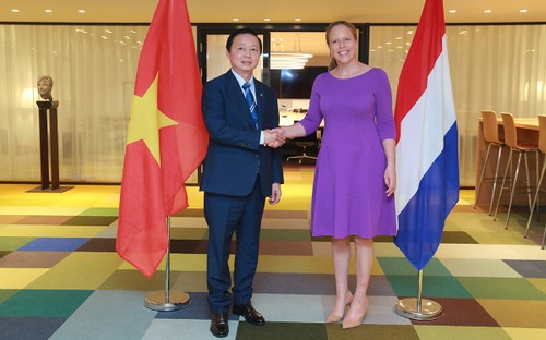 Poursuite de la visite de Trân Hông Hà aux Pays-Bas - ảnh 1