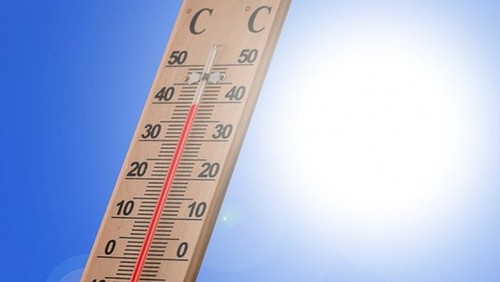 Canicule en France: Cellule de crise interministérielle convoquée par Élisabeth Borne - ảnh 1