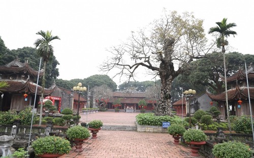 “Le Chemin des Concours“: Un nouveau circuit touristique original à Hai Duong - ảnh 2