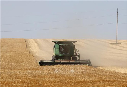 L'Union européenne soutient l'Ukraine: Accord sur les limites des céréales - ảnh 1