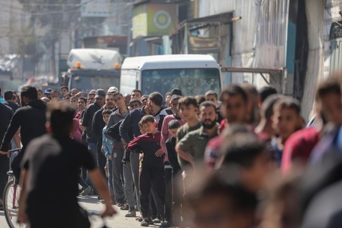 Première livraison d’aide humanitaire à Gaza via le port d’Ashdod - ảnh 1