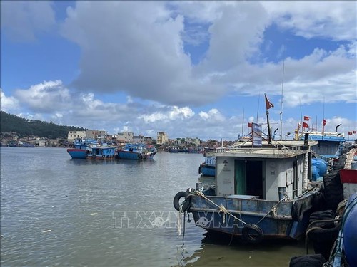 Lutte contre la pêche INN: Une mission cruciale et urgente - ảnh 1