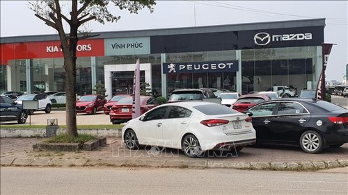 Légère hausse du marché automobile vietnamien - ảnh 1