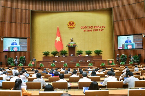 Assemblée nationale: Feu vert pour de nouvelles politiques culturelles - ảnh 1