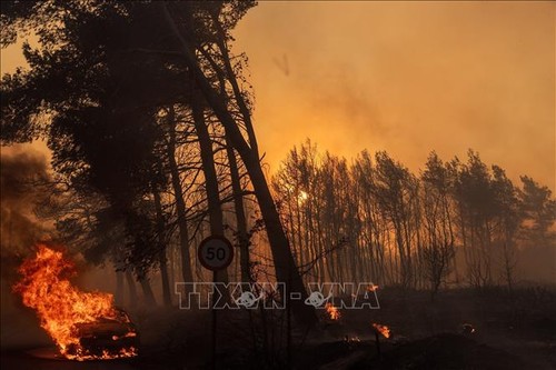 Incendie dévastateur près d’Athènes: une victime et des quartiers évacués - ảnh 1