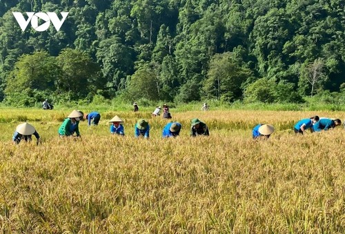 Vers une vie meilleure des Ruc à Quang Binh - ảnh 1