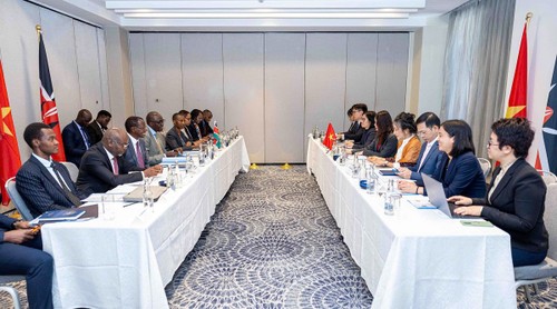 La vice-ministre des Affaires étrangères Nguyên Minh Hang en visite de travail au Kenya - ảnh 1