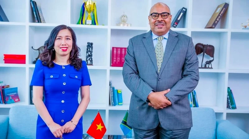 Vietnam-Tanzanie : Un nouvel élan pour une coopération renforcée  - ảnh 1