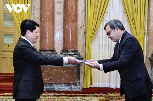 Le Président de la République reçoit les lettres de créance de plusieurs ambassadeurs - ảnh 1