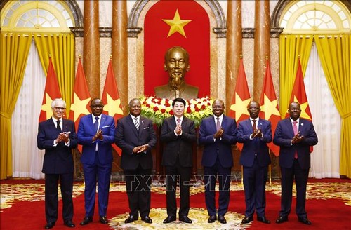 Le Président de la République reçoit les lettres de créance de plusieurs ambassadeurs - ảnh 4