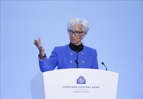 BCE: face aux menaces de taxes américaines, l'Europe appelée à renforcer son autonomie - ảnh 1