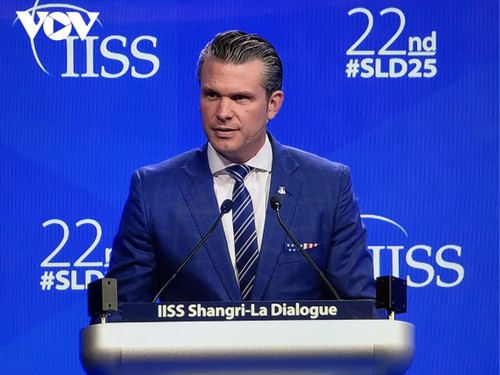 Shangri-La 2025: les États-Unis renforcent leurs alliances dans l'Indo-Pacifique - ảnh 1