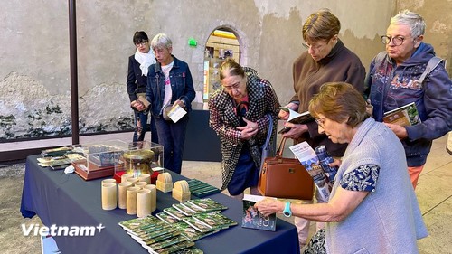 France: Thang Long et Cô Loa à l’honneur à Provins - ảnh 2
