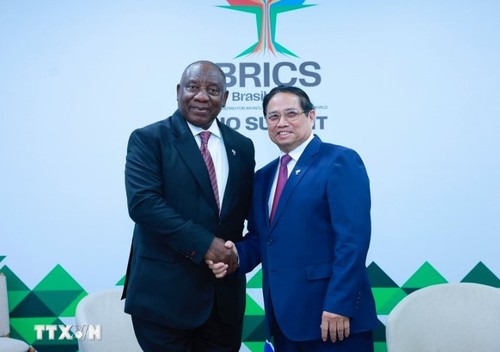 Le Vietnam considère l’Afrique du Sud comme un partenaire prioritaire en Afrique - ảnh 1