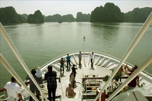 La délégation de l’ASOSAI visite la baie d’Ha Long - ảnh 1