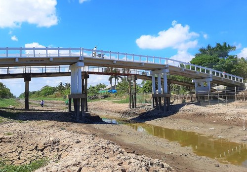 La province de Ca Mau lourdement touchée par la sécheresse - ảnh 12