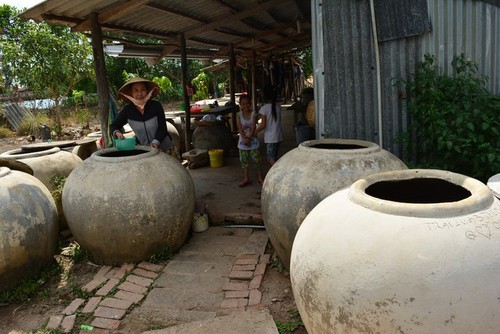 La province de Ca Mau lourdement touchée par la sécheresse - ảnh 13