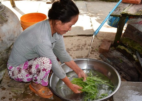 La province de Ca Mau lourdement touchée par la sécheresse - ảnh 9