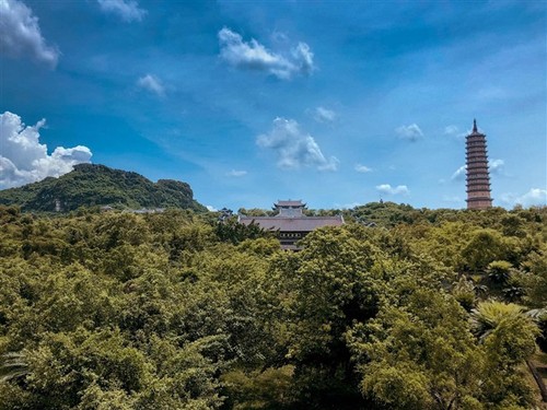 Ninh Binh : les endroits les plus photogéniques - ảnh 8