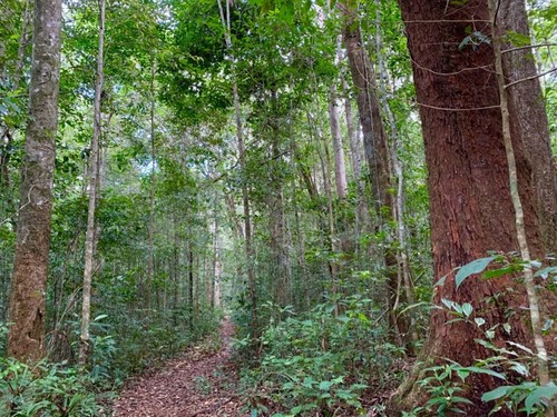 Deux nouvelles réserves de biosphère vietnamiennes reconnues par l’Unesco - ảnh 13