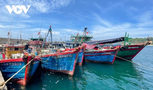 L'île de Bach Long Vi - ảnh 3