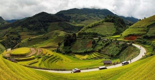 Les rizières  à la saison du riz mûr au Vietnam - ảnh 12