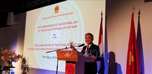 Les Pays-Bas deviennent le plus grand investisseur européen au Vietnam - ảnh 1