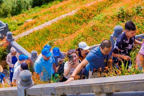 L'éclat du Festival des crocosmias orange 2024 à Sa Pa - ảnh 10