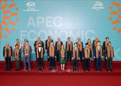 Luong Cuong rencontre les dirigeants des économies membres de l'APEC - ảnh 1