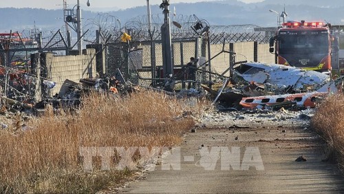 République de Corée: le crash d’un avion Jeju Air fait 85 morts, les secours toujours mobilisés - ảnh 1