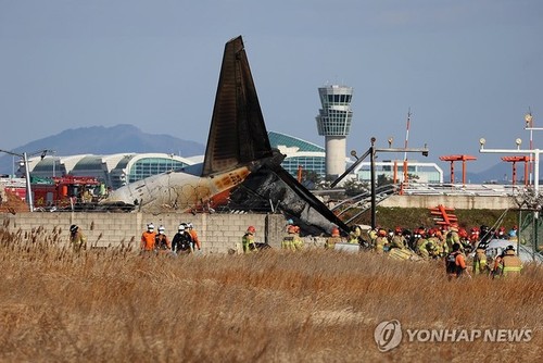 Le Vietnam exprime sa solidarité après la tragédie aérienne de Jeju Air - ảnh 1