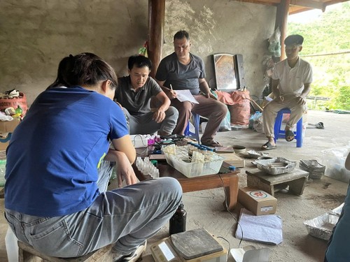 Diversifier les cultures pour un avenir durable à Tuân Giao, Diên Biên - ảnh 7