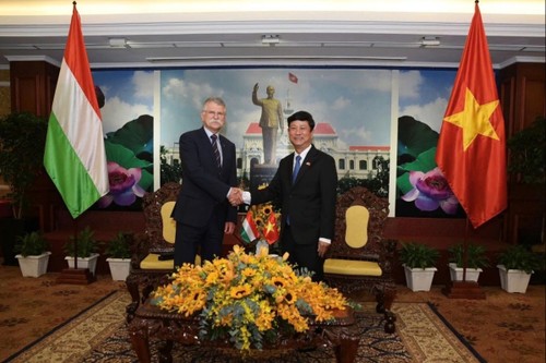 De nouvelles perspectives de coopération entre Hô Chi Minh-ville et la Hongrie - ảnh 1