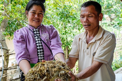 À Diên Biên, l’élevage change de visage - ảnh 3