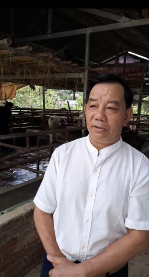 À Diên Biên, l’élevage change de visage - ảnh 6