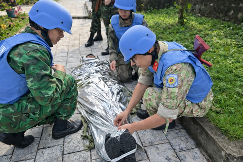 Opérations de maintien de la paix de l’ONU: quand la coopération France–Vietnam sauve des vies - ảnh 5
