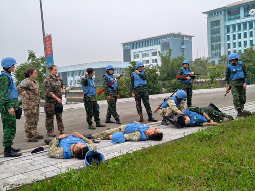 Opérations de maintien de la paix de l’ONU: quand la coopération France–Vietnam sauve des vies - ảnh 4