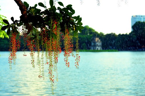 One day at Hoan Kiem Lake  - ảnh 4